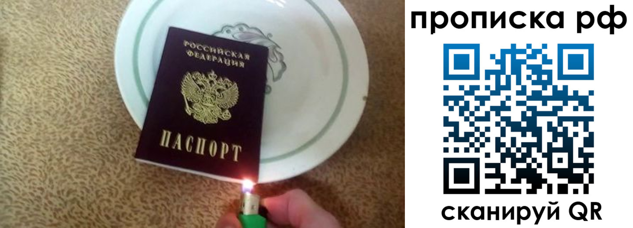 временная регистрация гарантия в Благовещенске